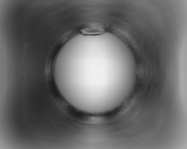 X0000089850360200707191906