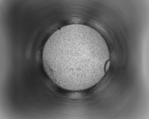 X0000089850361200707191906