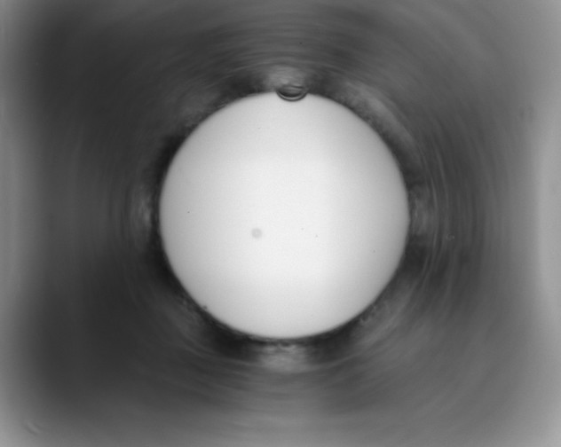 X0000089850363200707191906