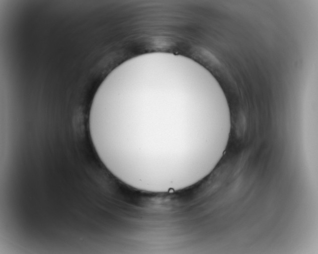 X0000089850366200707191906