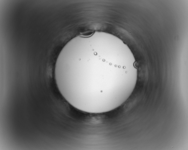 X0000089850368200707191907