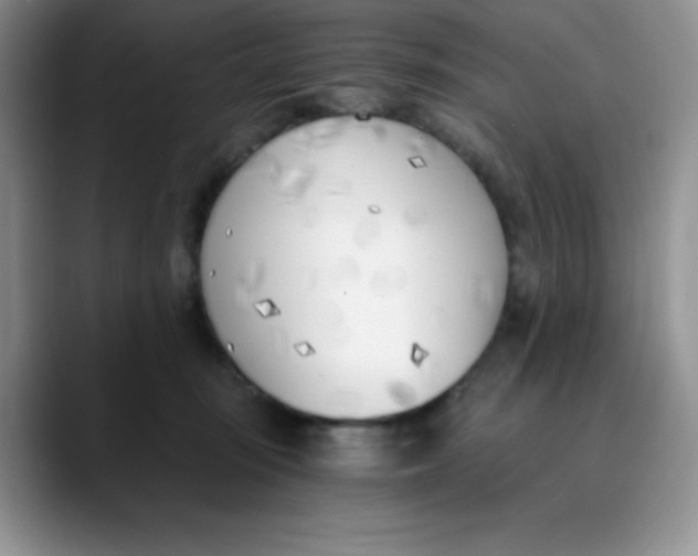 X0000089850371200707191907