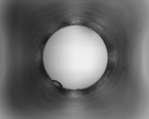 X0000089850372200707191907