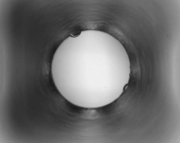 X0000089850374200707191907