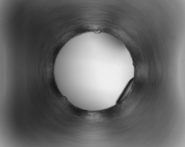 X0000089850376200707191907