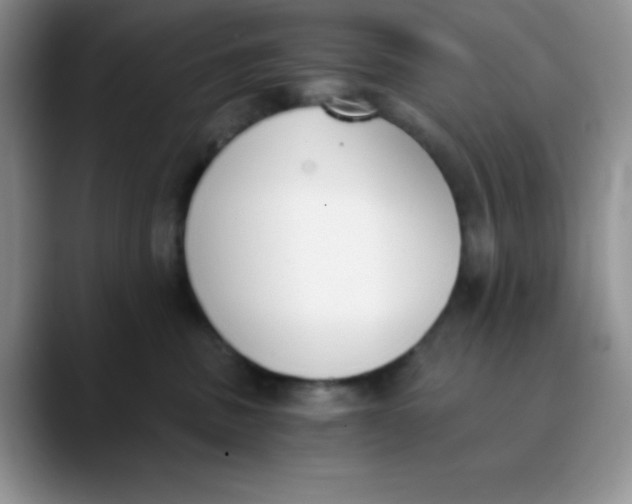 X0000089850379200707191907