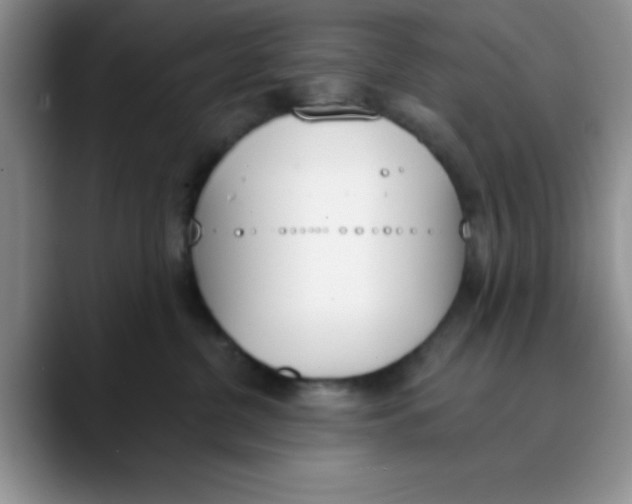 X0000089850380200707191907