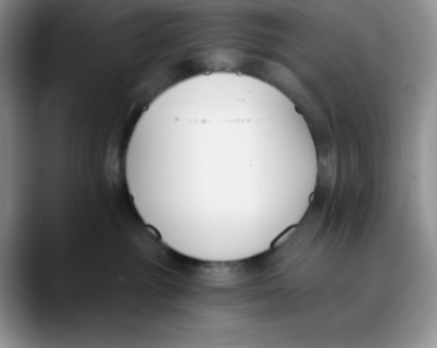 X0000089850381200707191907