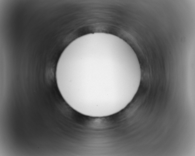 X0000089850382200707191907