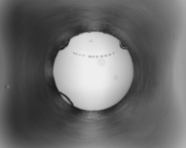 X0000089850384200707191907