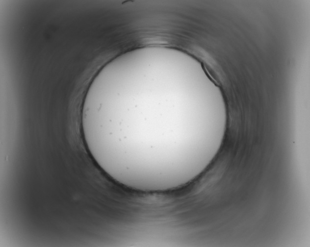 X0000089850385200707191906