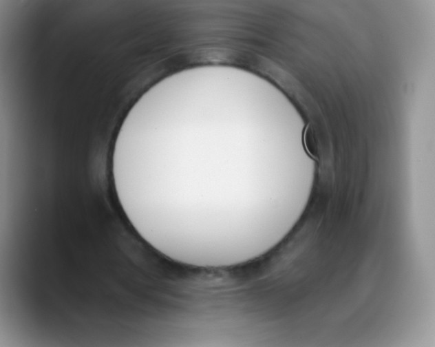 X0000089850386200707191906