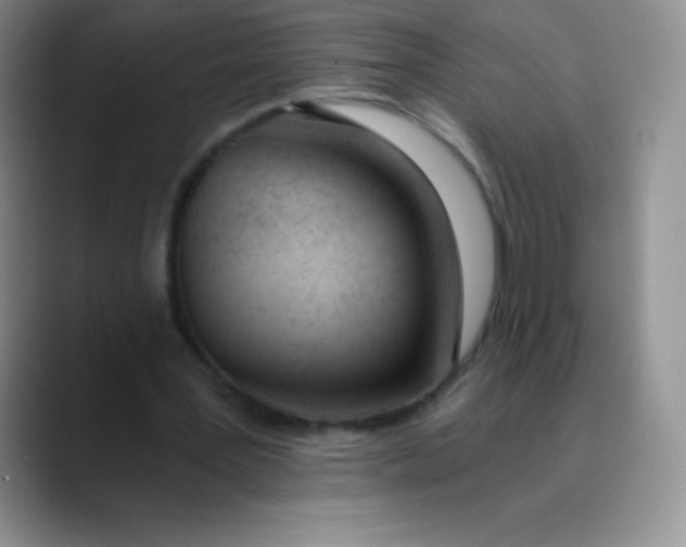 X0000089850387200707191906