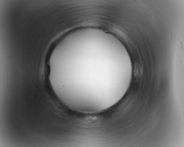 X0000089850388200707191906