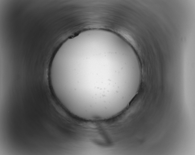 X0000089850389200707191906