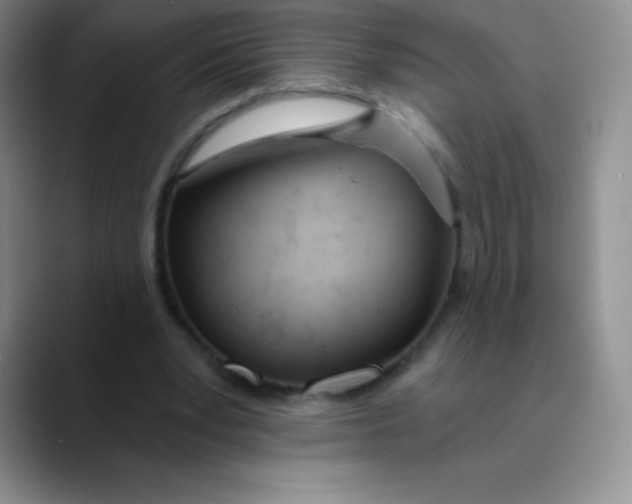 X0000089850391200707191906