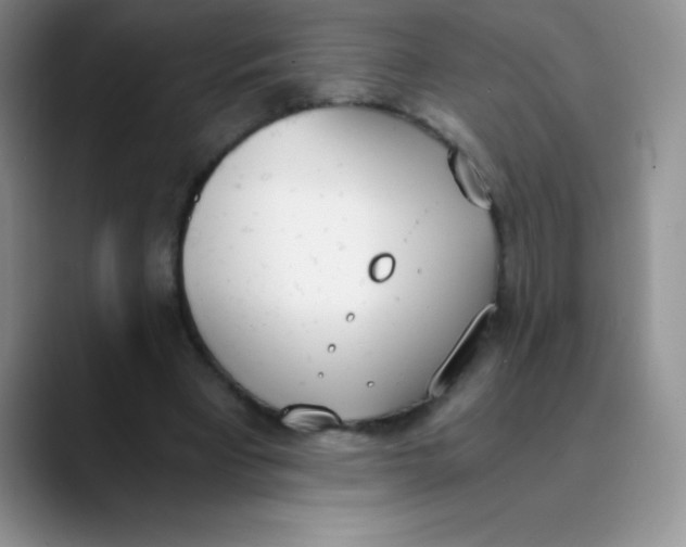 X0000089850393200707191906