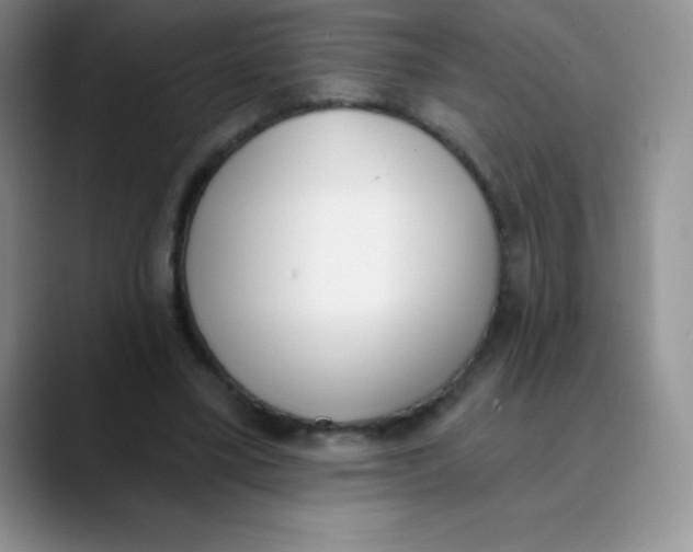 X0000089850395200707191906