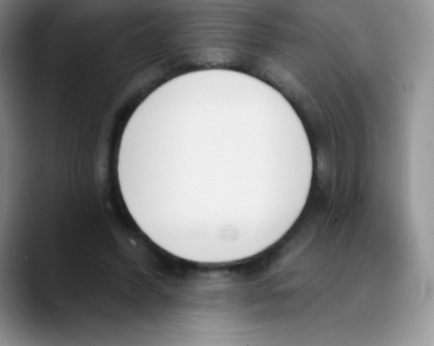 X0000089850396200707191906