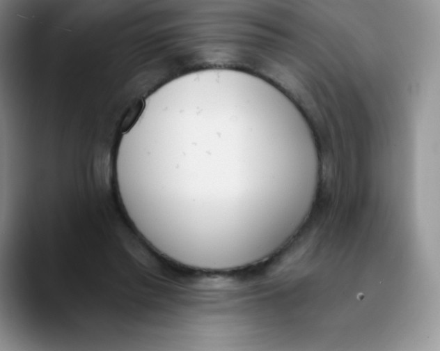 X0000089850397200707191906