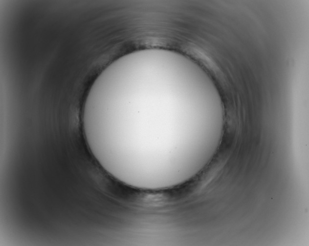 X0000089850401200707191906