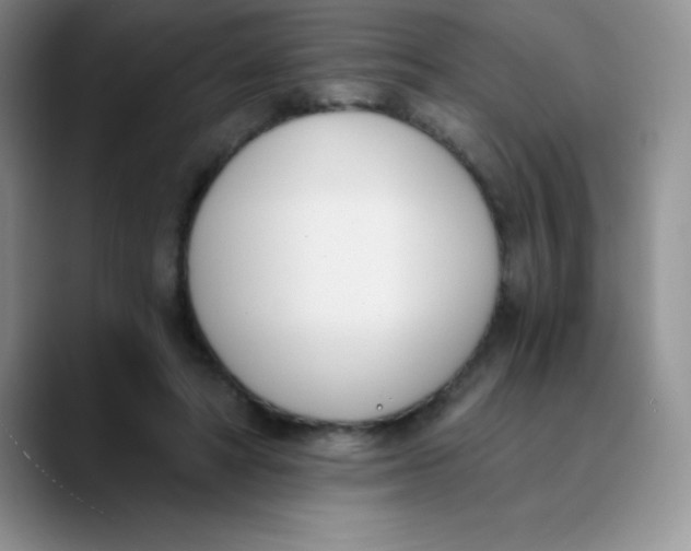 X0000089850402200707191906