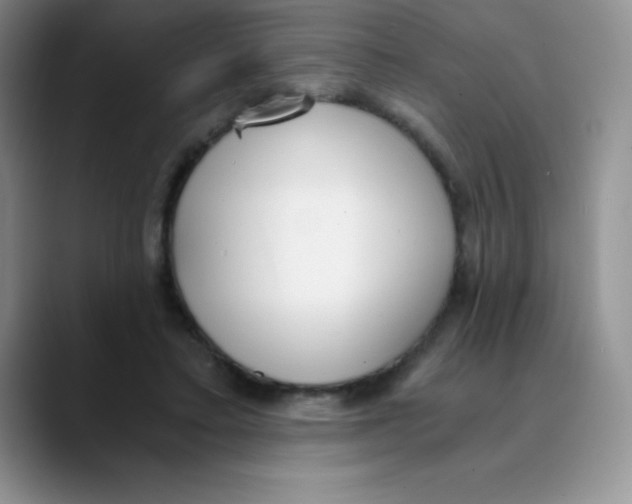 X0000089850403200707191906