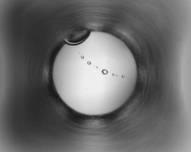 X0000089850404200707191906