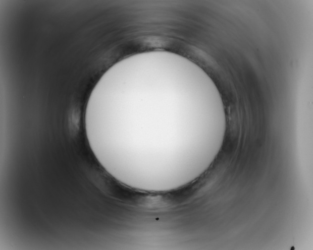 X0000089850406200707191906