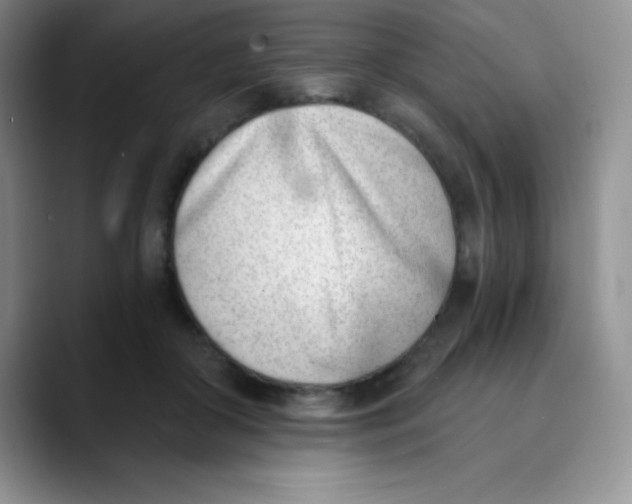 X0000089850410200707191906