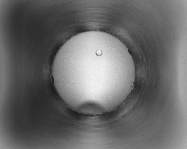 X0000089850411200707191906