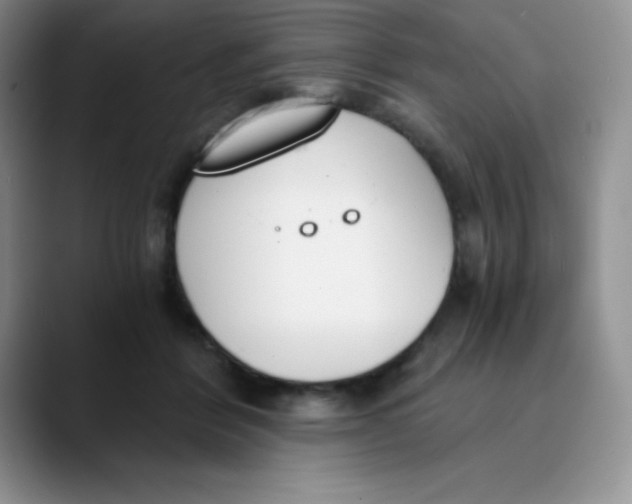 X0000089850412200707191906