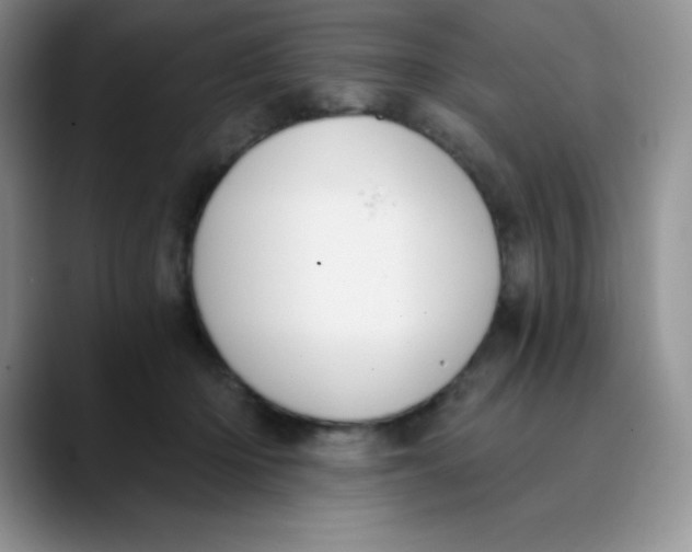 X0000089850414200707191906