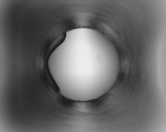 X0000089850417200707191906