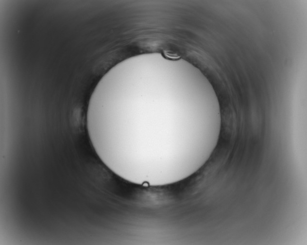 X0000089850420200707191906