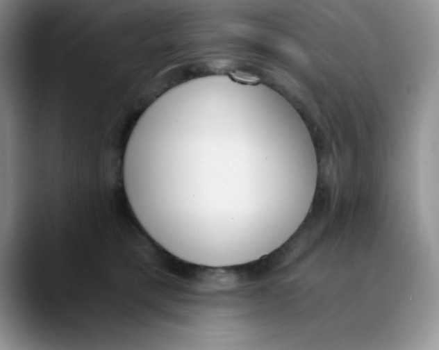 X0000089850421200707191906