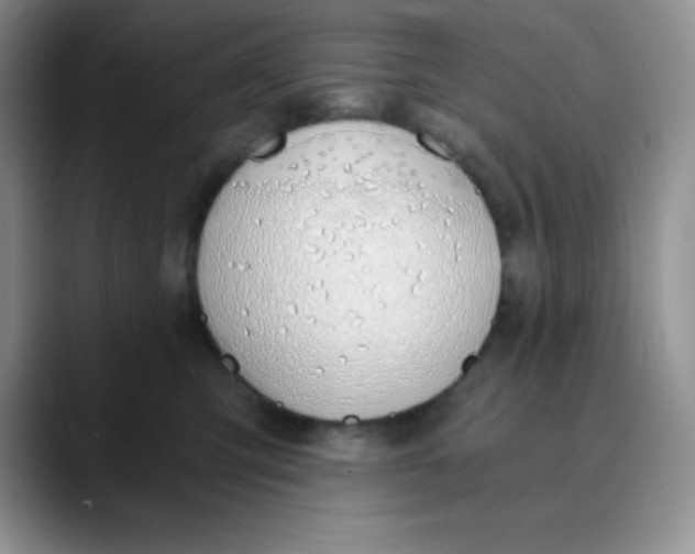 X0000089850423200707191906