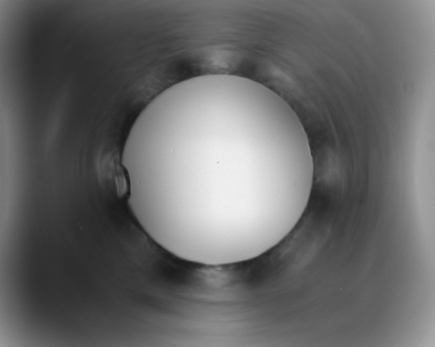 X0000089850425200707191906