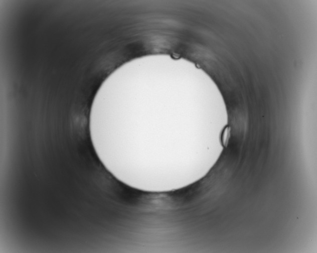 X0000089850427200707191906