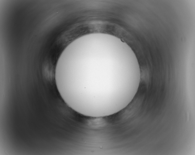 X0000089850431200707191906