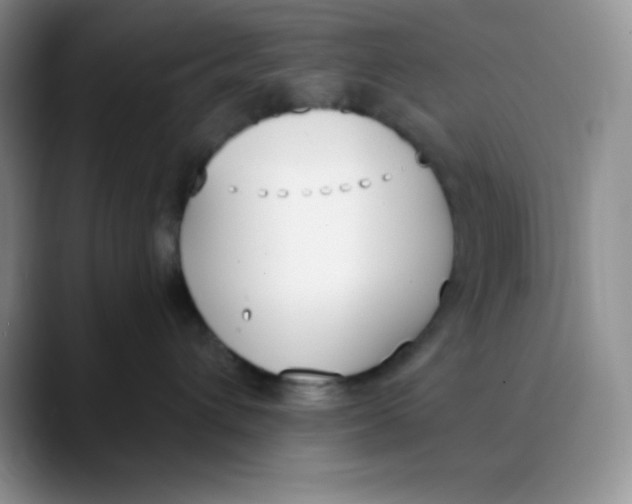 X0000089850432200707191906