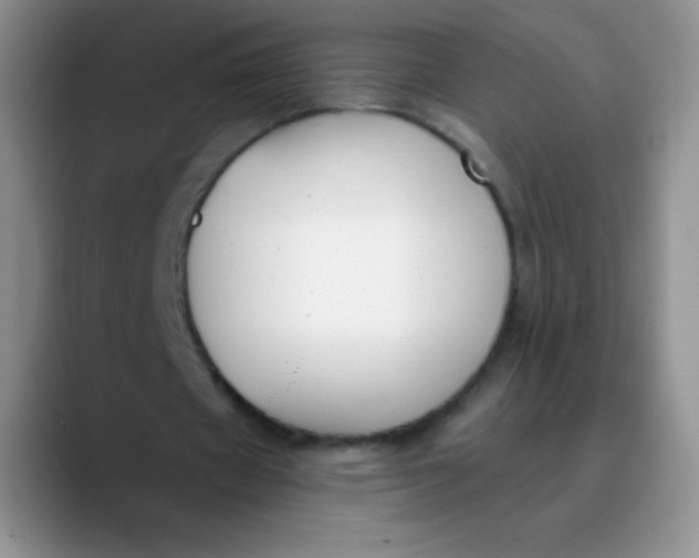 X0000089850433200707191905