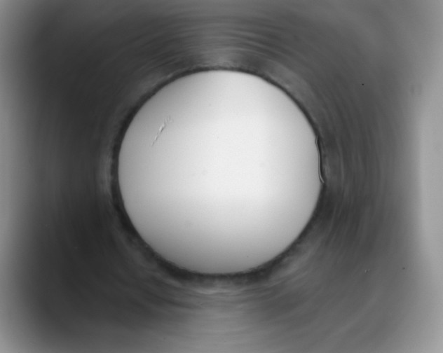 X0000089850434200707191905