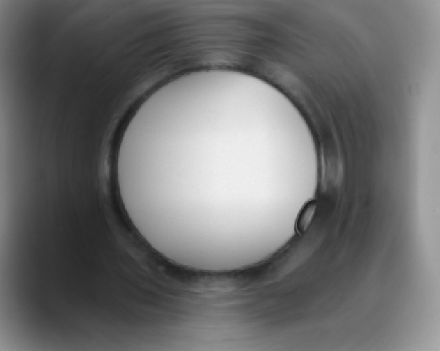 X0000089850435200707191905