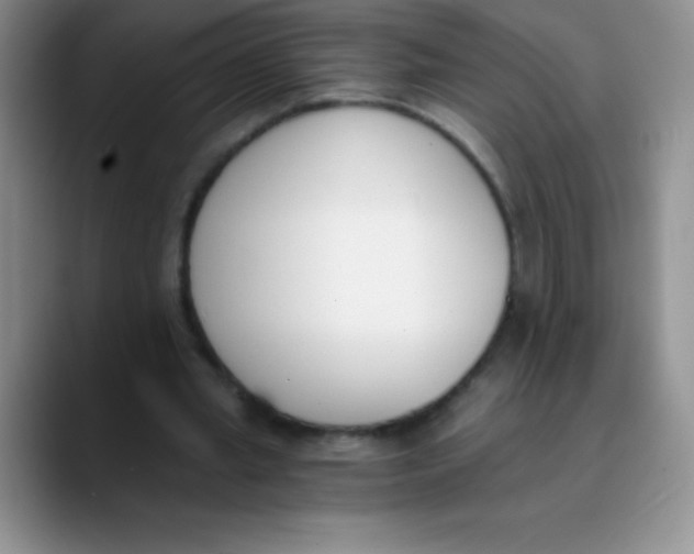 X0000089850437200707191905