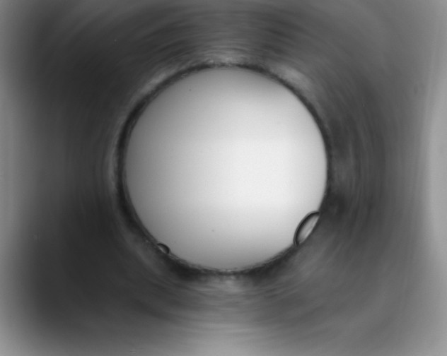 X0000089850439200707191905