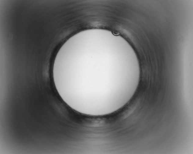 X0000089850443200707191905