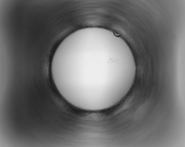 X0000089850446200707191905