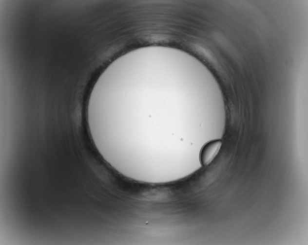 X0000089850447200707191905