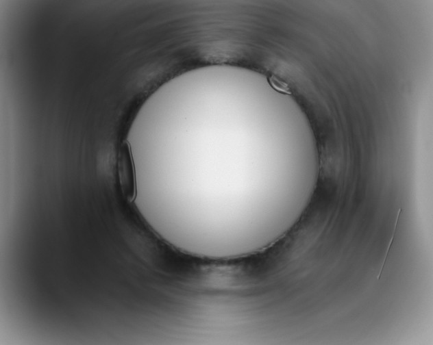 X0000089850448200707191905